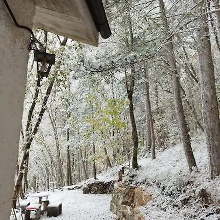 L'angolo Nel Bosco *