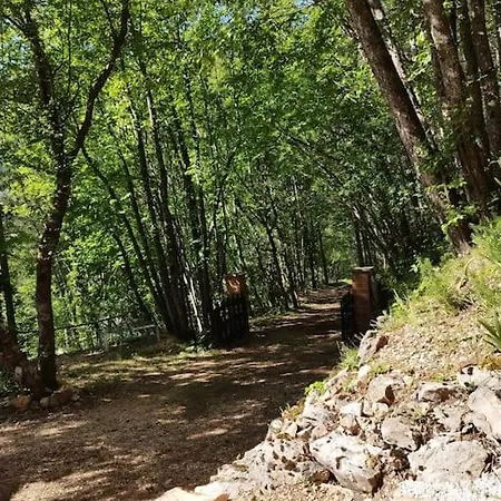 L'angolo Nel Bosco Chalet Sarnano