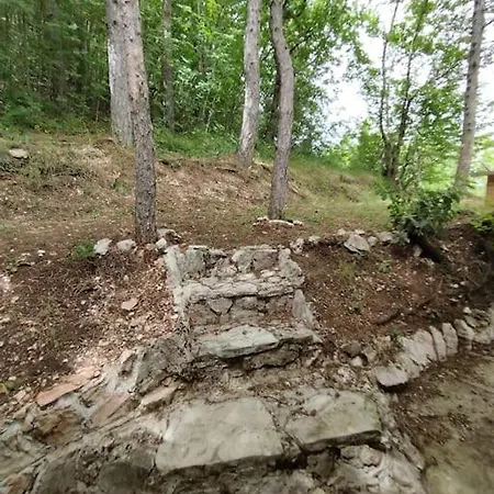 L'angolo Nel Bosco *