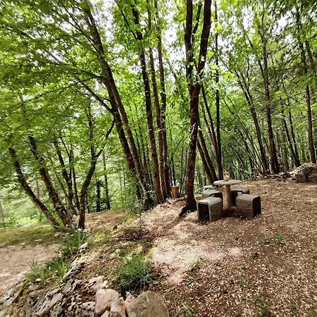 L'angolo Nel Bosco Chalet Sarnano