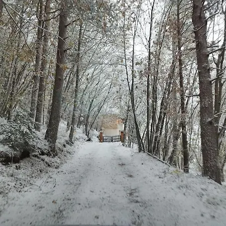 בקתה L'angolo Nel Bosco סארנאנו