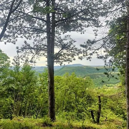L'angolo Nel Bosco * Sarnano